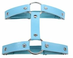 AE 1pc Miss Behaved Dual-Strap Faux Leather O-Ring Leg Garter -ravewonder store Blue 1582826c 7ec7 4f9d 8f0a d49d85c7f68a
