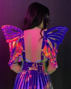 Daisy's Corsets Dark Holo Wings Harness