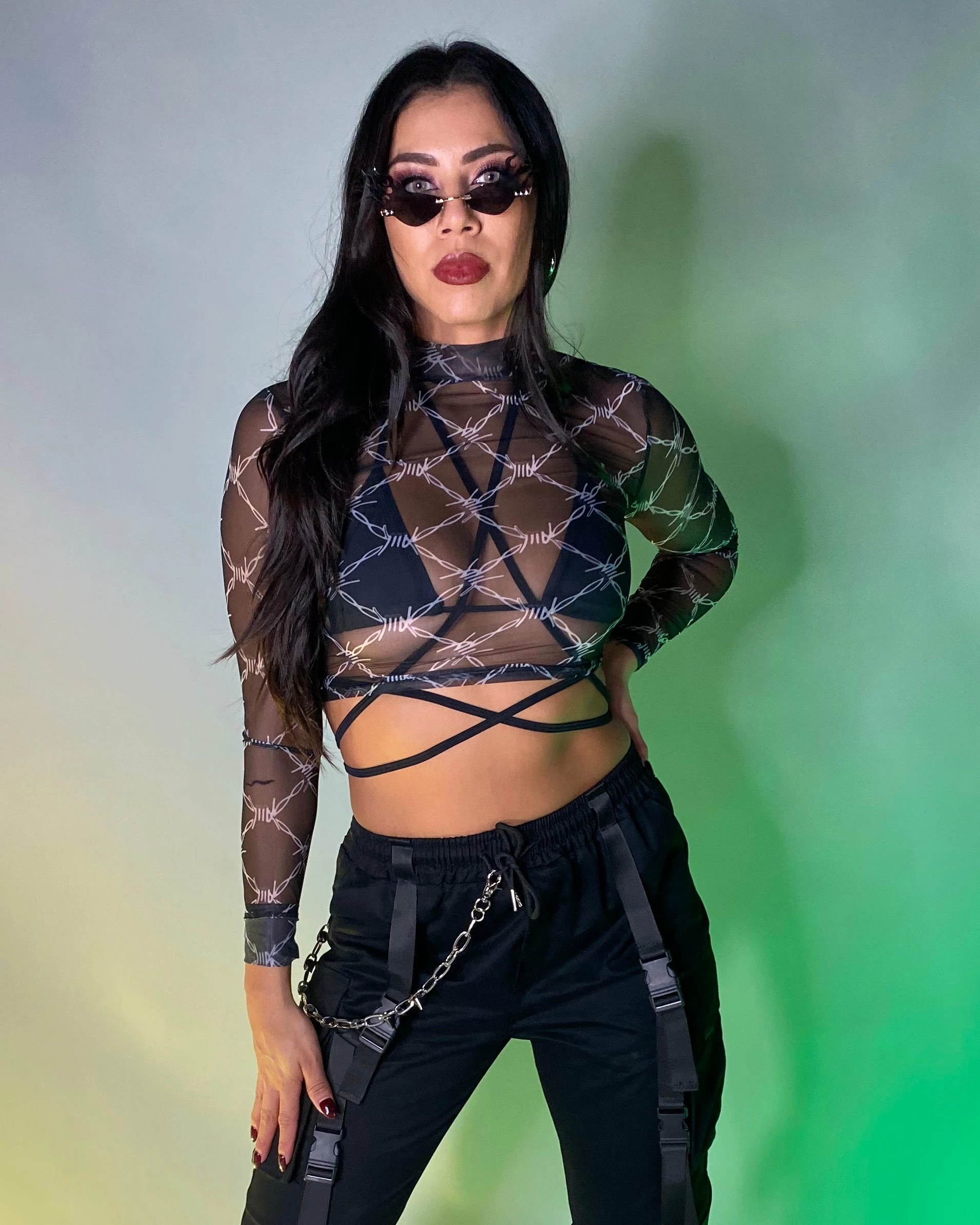 AE Barbed Bish Mesh Crop Top 5 AE Barbed Bish Mesh Crop Top - Image 5